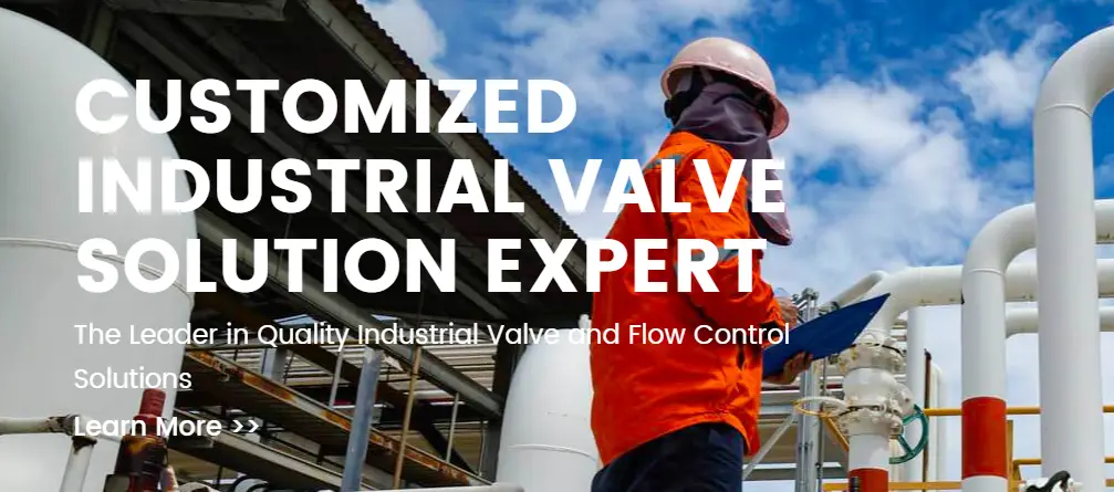 CUSTOMIZED INDUSTRIAL VALVESOLUTION EXPERT GOWIN