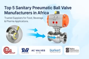 Top 5 Sanitary Pneumatic Ball Valve Manufacturers in Africa banner