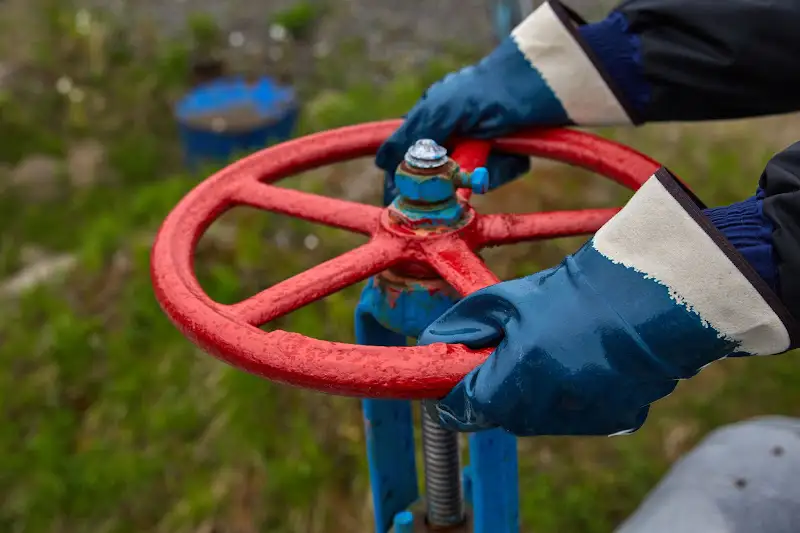 What Is a Pressure Seal Gate Valve?pict