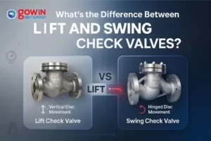 Lift Check Valve vs Swing Check Valve